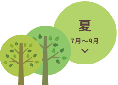 夏