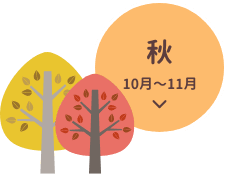 秋